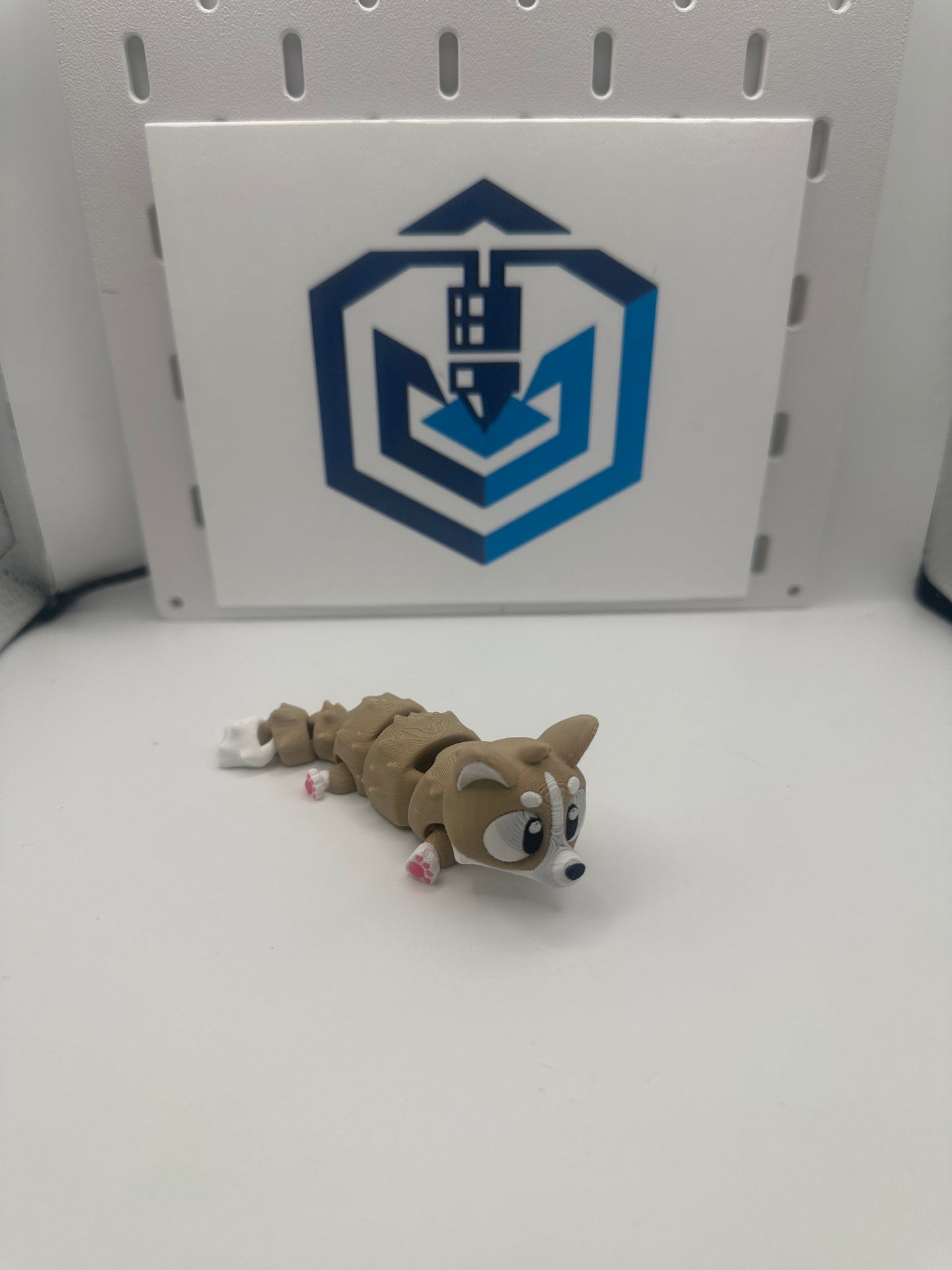 Mini corgi