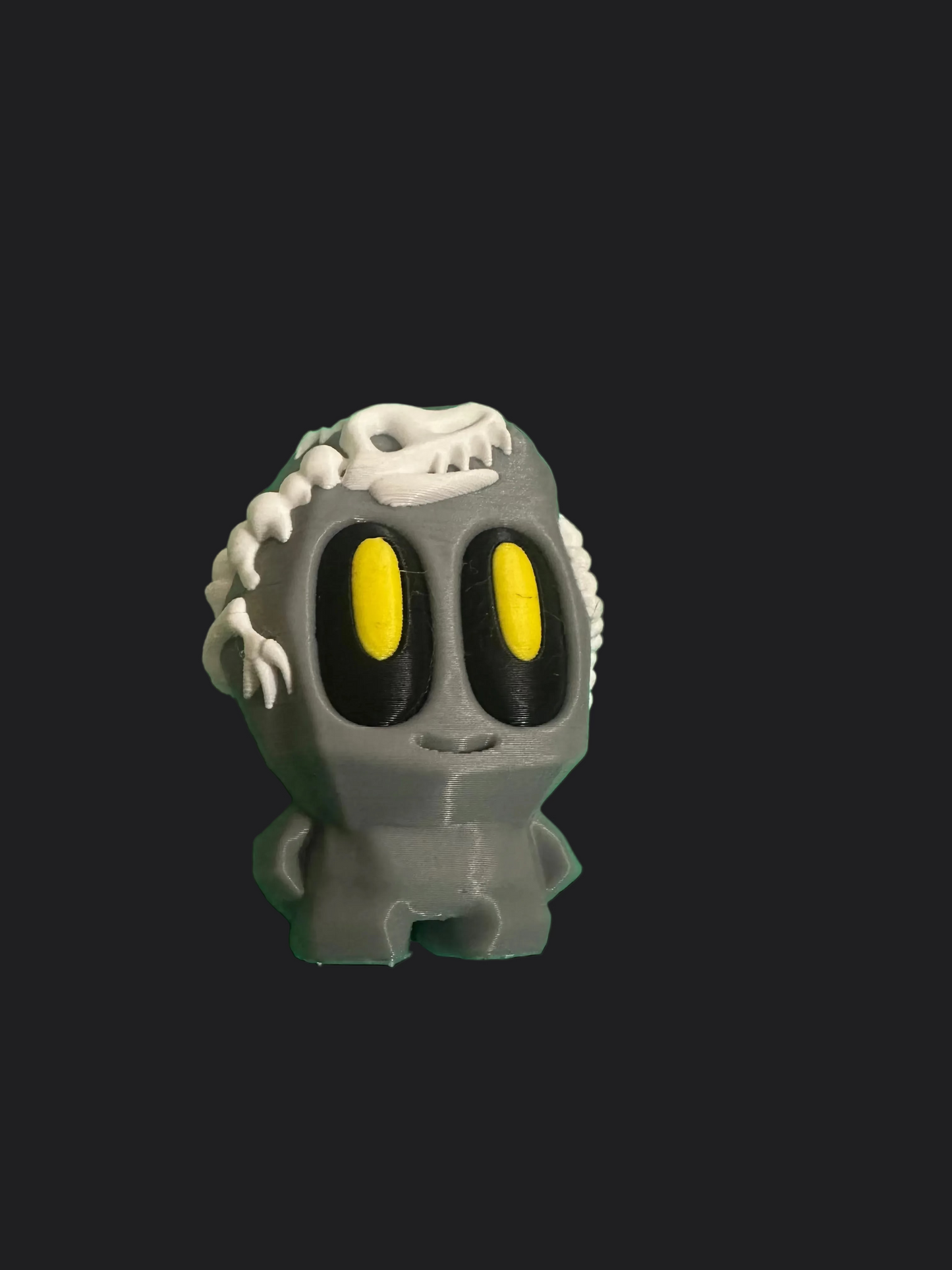 Pet rock collectible