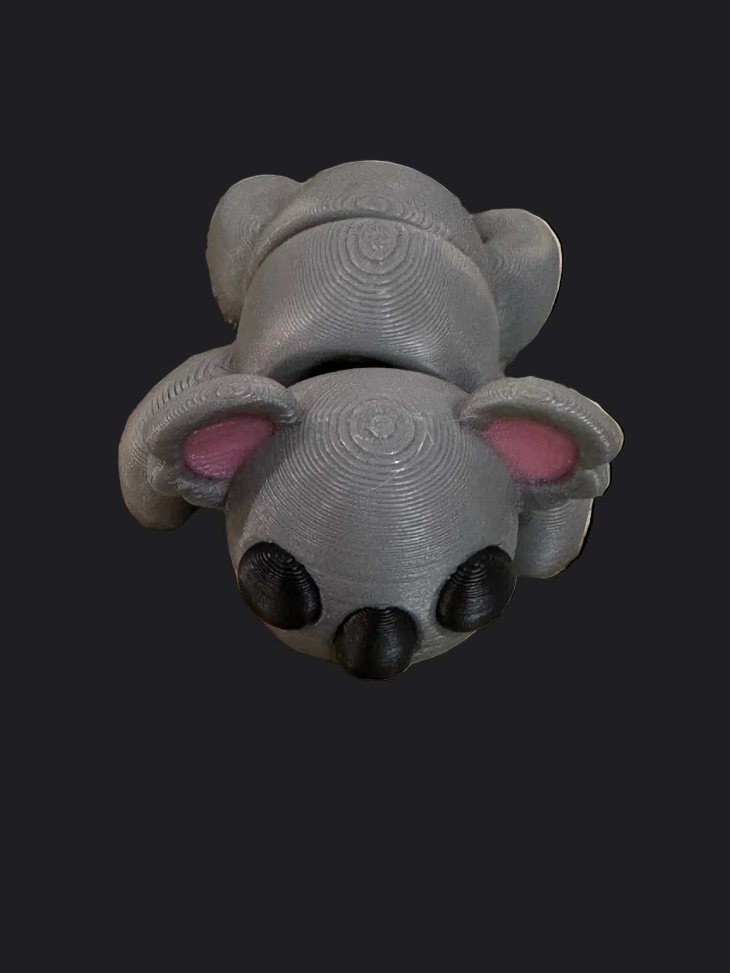 Koala mini